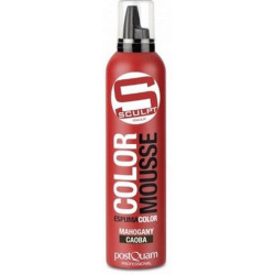 ESPUMA COLOR CAOBA DISIMULA LAS CANAS PQ 300ML