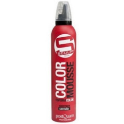 ESPUMA COLOR CASTAÑO DISIMULA LAS CANAS PQ 300ML