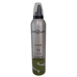 ESPUMA COLOR COBRE DISIMULA LAS CANAS PQ 300ML