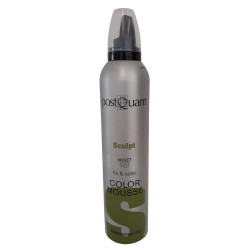 ESPUMA COLOR PQ 300 ML. VIOLETA