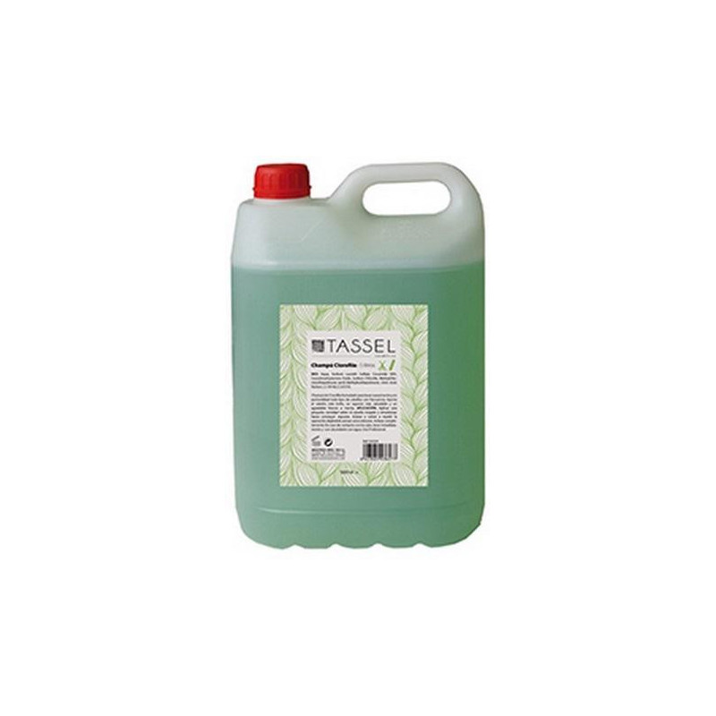 CHAMPU CLOROFILA TASSEL 5L - 1