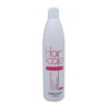CHAMPU TRATAMIENTO CABELLOS TEÑIDOS PQ 500ML - 1