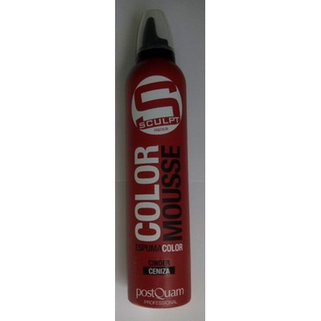 ESPUMA COLOR CENIZA DISIMULA LAS CANAS PQ 300ML - 1